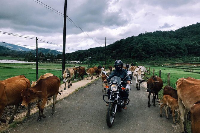 01 Day Easy Rider from Da Lat to Mui Ne by motorbike - The Experience: What Makes It Stand Out?