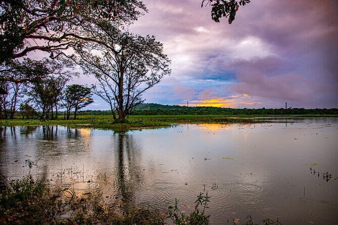 02 Days Private Dambulla & Habarana Tour With Village Experience From Colombo - Key Points