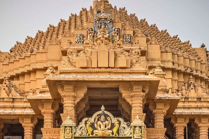 02 Nights & 03 Days Asiatic Lion Tour from Rajkot - What We Learned from Reviews