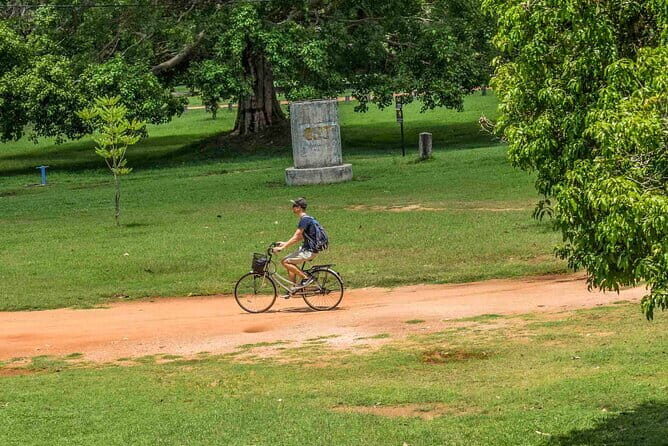 03 Day Explore Sri Lanka - Final Thoughts: Is This Tour Right for You?