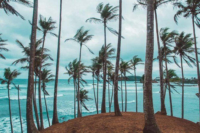03 Days Beach Holidays in Sri Lanka with Kingfisher - Frequently Asked Questions