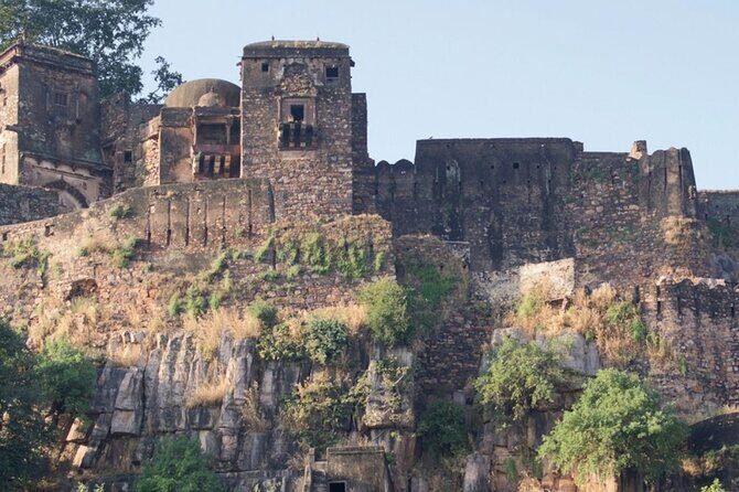 03 Days Private Ranthambore Wildlife Safari Tour From Delhi - An In-Depth Review of the Ranthambore Safari Tour