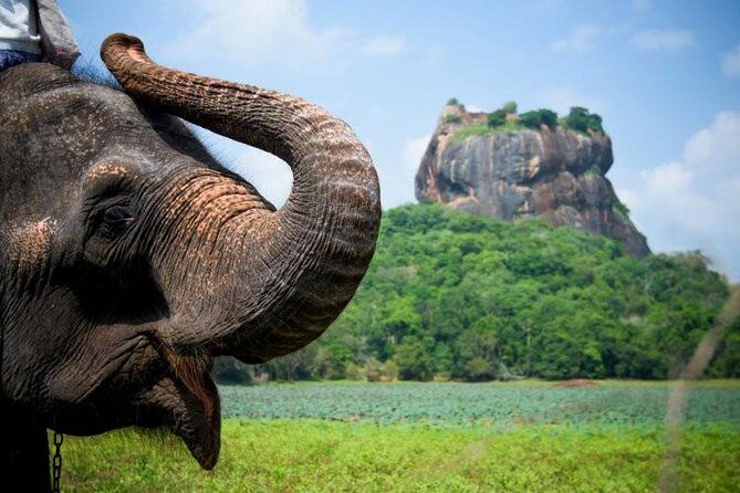 05 Days Glimpse Of Sri Lanka - FAQ
