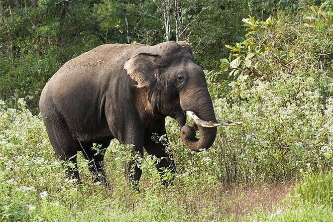06 Days God's Own Country Kerala - Introduction