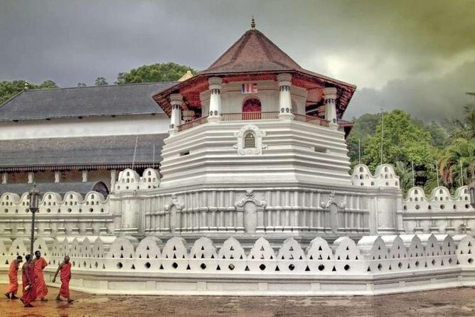 07 Days Highlights of Srilanka - Why Reviewers Loved This Tour