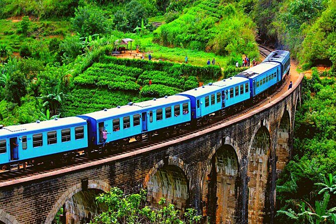 08 Days Luxury Tour - Exploring Sri Lanka in Depth: What to Expect