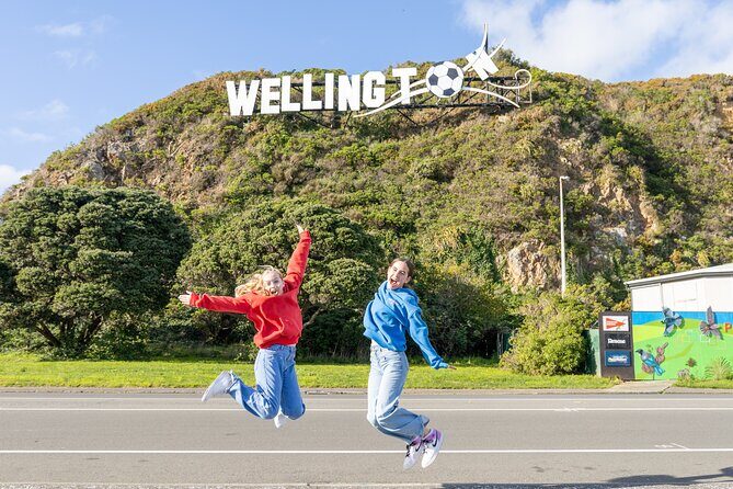 1/2 Day Guided Wellington Tour incl. Cable Car (Vans not buses) - What to Expect from the Itinerary