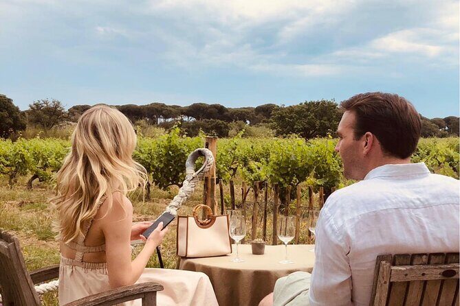 1/2 day, private wine tour, van from Saint Tropez - Why Choose This Tour?