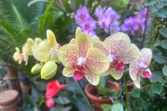 1/2 Day Puerto Vallarta Botanical Garden tour by Biologist Guide - Why This Tour Offers Real Value