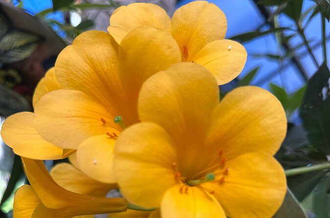 1/2 Day Puerto Vallarta Botanical Garden tour by Biologist Guide - Frequently Asked Questions