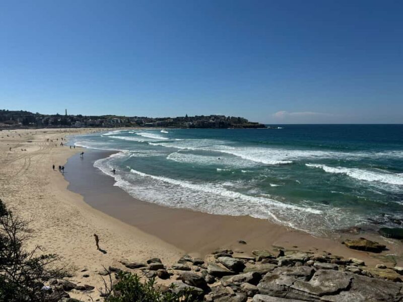 1/2 day Sydney Sightseeing and Bondi Beach Tour - Who Will Love This Tour?