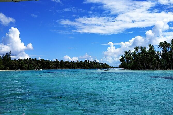 1/2 day Tahaa coral garden - departure Raiatea / ideal for cruise passengers - An In-Depth Look at the Tour Experience