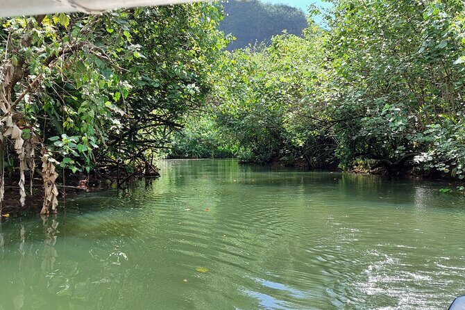 1/2 day "Treasures of Raiatea" by boat - ideal for cruise passengers - Key Points