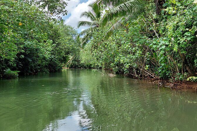 1/2 day "Treasures of Raiatea" by boat - ideal for cruise passengers - Authenticity and Value