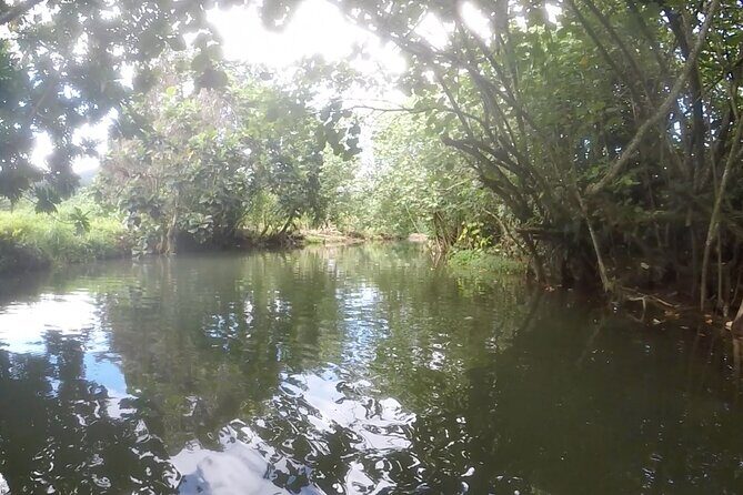 1/2 day "Treasures of Raiatea" by boat - ideal for cruise passengers - The Sum Up