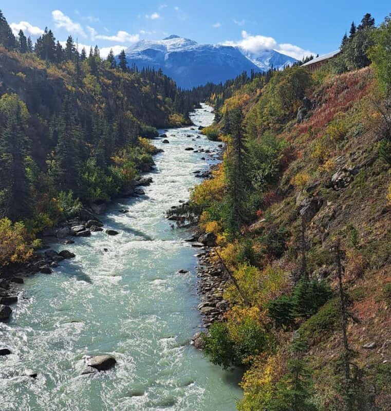 1/2 Day Yukon and Suspension Bridge Adventure - Exploring the 1/2 Day Yukon and Suspension Bridge Adventure