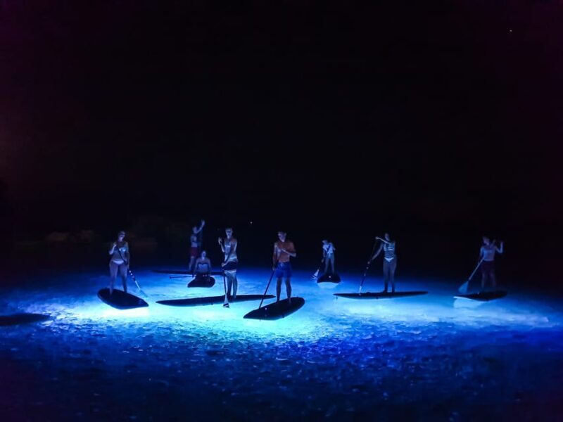 1.5-hour Clear Kayak Rental: Discover the Underwater World - The Sum Up