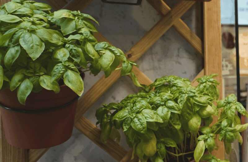 1.5 Hour Food Guided Tour & Sightseeing in Genoa - What Reviewers Say