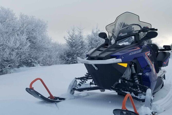 1.5-Hour Guided Snowmobiling Adventure - Value for Money