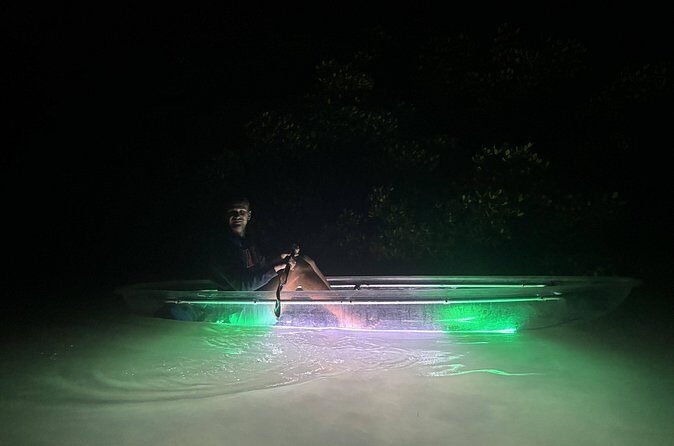 1.5-Hour LED Illuminated Clear Kayak Night Adventure Tour - Who Is This Tour Best For?