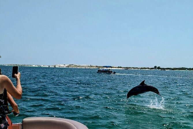 1.5 Hour Tiki Boat Harbor and Dolphin Cruise Destin FL - Who Will Love This Tour?