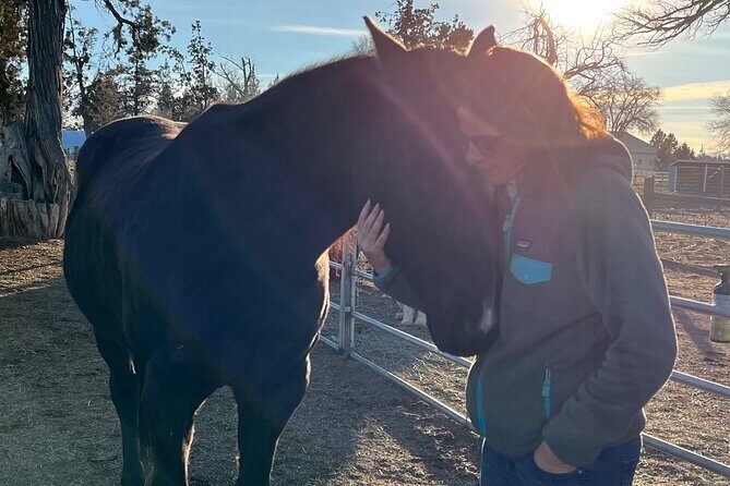 1.5 Hours Private Meditations with the Horses in Oregon - Introduction