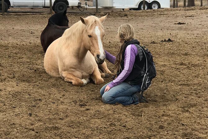 1.5 Hours Private Meditations with the Horses in Oregon - Key Points