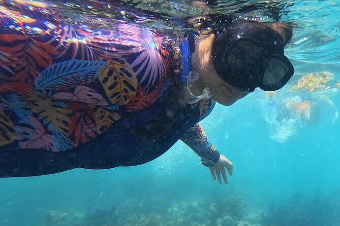 1.5 hours Snorkeling at Tulum's paradise reef - Value for Money: Is It Worth It?