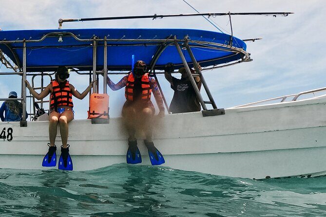 1.5 hours Snorkeling at Tulum's paradise reef - Who Is This Tour Best For?