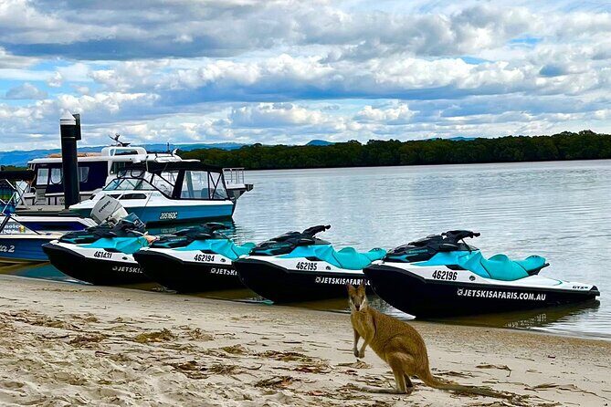 1.5 hr Jet Ski Safari tour to South Stradbroke Island! - Who Will Love This Tour?