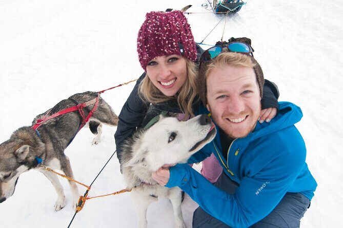 1.5 Hr - Winter Dog Sledding in Knik, Alaska - Key Points