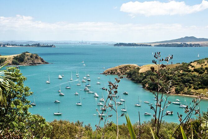 1.5h Waiheke Guided Scenic Tour in our Electric Van - Final Thoughts