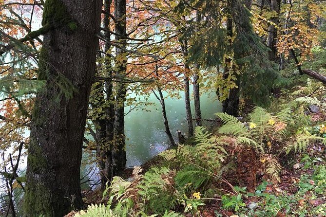 1 Day 4x4 Tour in Carpathian Mountains - The Highlights: Why You Should Consider This Tour