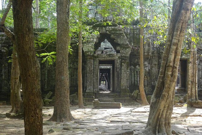 1-Day Angkor Wat Sunrise & All Interesting Temples Private Tour - The Early Morning Magic at Angkor Wat