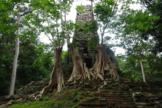 1-Day Angkor Wat Sunrise & All Interesting Temples Private Tour - Logistics and Comfort
