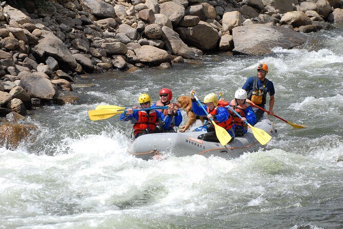 1-Day Arkansas River - Bighorn Sheep Canyon Trip - Final Thoughts