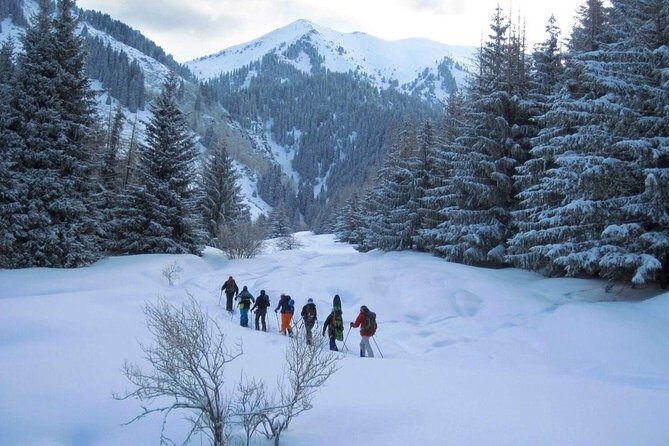 1-day Backcountry Tour - Key Points