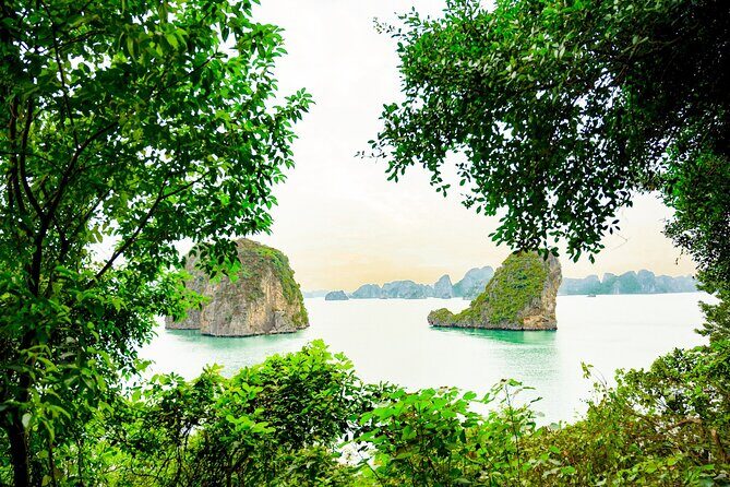1-Day Bai Tu Long Bay Cruise: Pristine, Fun & Away fr the Crowds - FAQs
