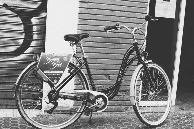 1 Day Bike Rental in Seville city - Authentic Local Experience with a Personal Touch