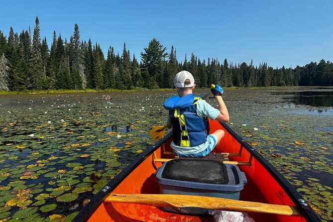 1 Day Canoeing Tour in Algonquin Park - Exploring the 1-Day Canoeing Tour in Algonquin Park