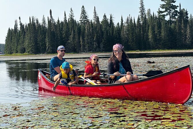 1 Day Canoeing Tour in Algonquin Park - Key Points