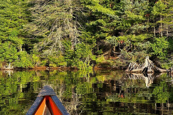 1 Day Canoeing Tour in Algonquin Park - FAQs