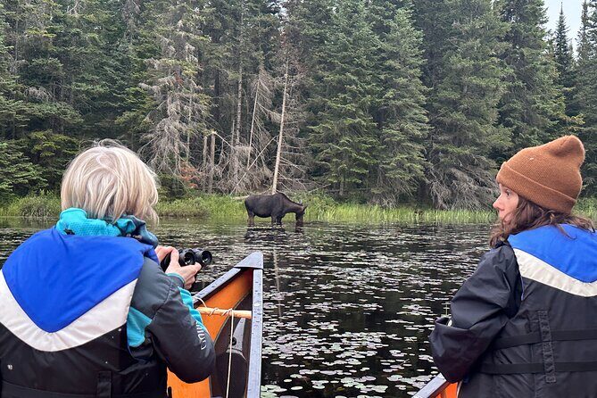 1 Day Canoeing Tour in Algonquin Park - Final Word
