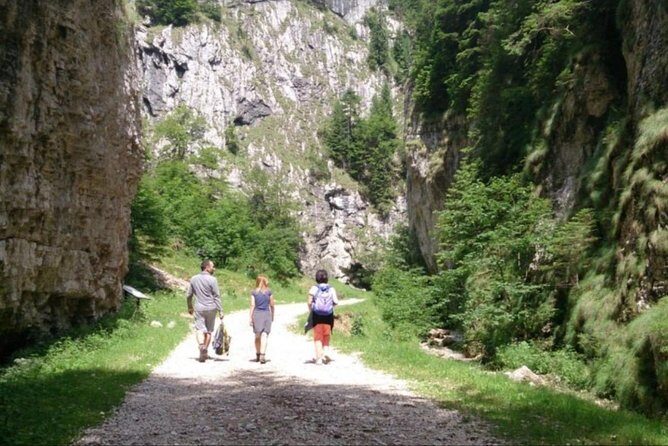 1 day CARPATHIAN PEAKS & CHALETS hike - Who Would Love This Tour?