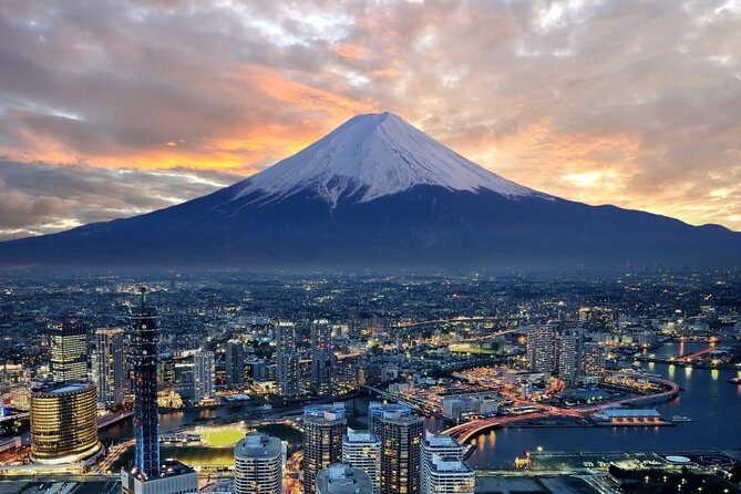 1 Day Charter Tour to Mt Fuji View - A Deep Dive into the Tour Experience