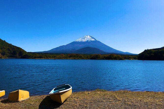1 Day Charter Tour to Mt Fuji View - The Sum Up