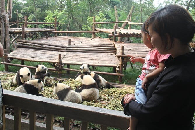 1-Day Chengdu tour with Panda Base, Renmin Park,Wenshu Temple and Hot Pot Lunch - Key Points
