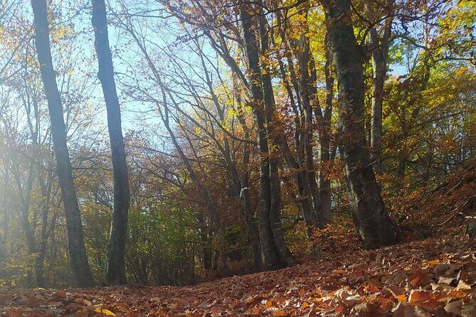 1 Day Chortiatis mt Thessaloniki Hiking Tour with Hotel Pickup - Why You Should Consider This Tour