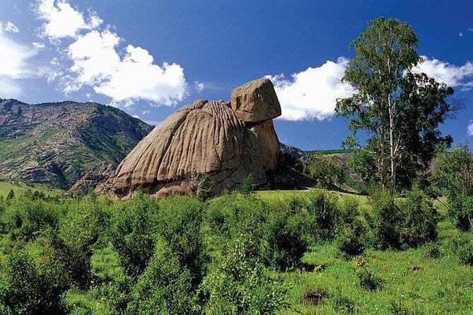 1 Day Coach Tour of Terelj National Park Including Lunch And Free Camel Ride - What You Can Expect from the Logistics