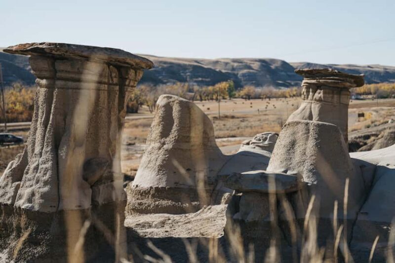1 Day Drumheller Tour: Calgary to Hoodoos Dinosaurs Badlands - Key Points